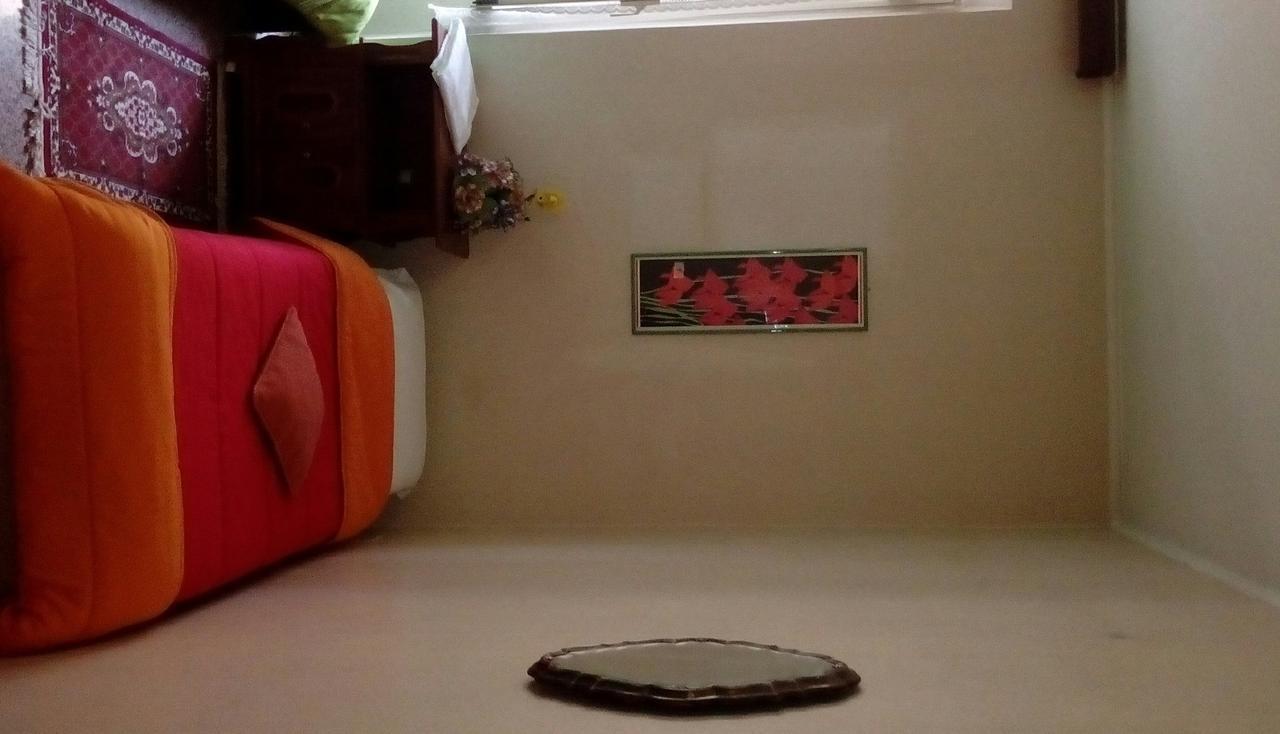 Palestro Guest House 247 ローマ エクステリア 写真
